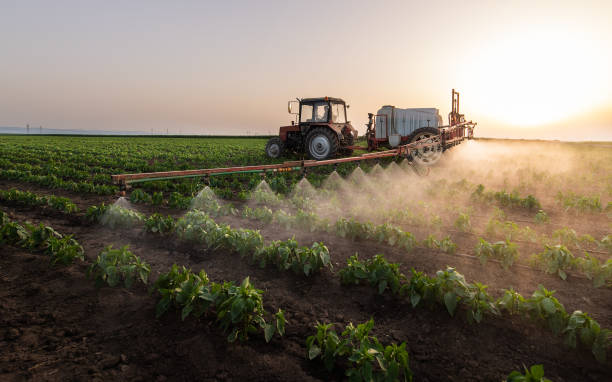 Best Commercial Pest Control Services  in Plymouth Meeting, PA
