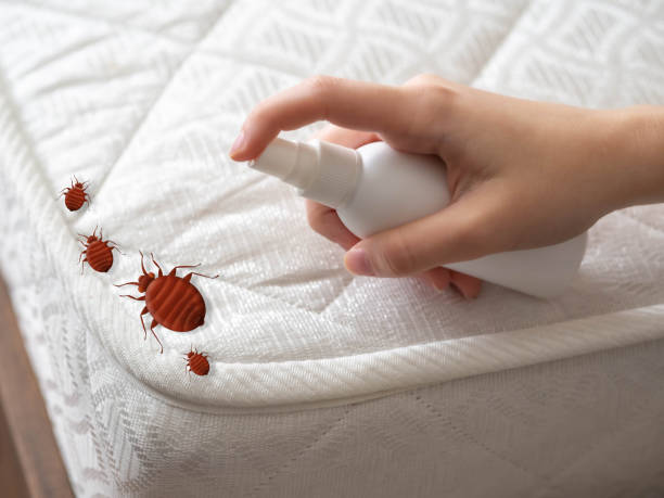 Best Pest Control Near Me in Plymouth Meeting, PA